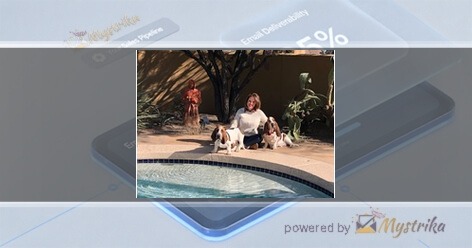 Howling Hound Marketing Agency