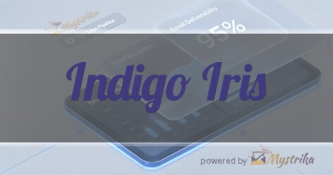 Indigo Iris HubSpot Consultancy & Training Agency logo
