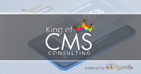 King of CMS Consulting