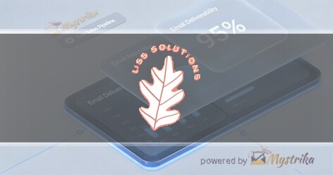 Liss Solution Agency logo