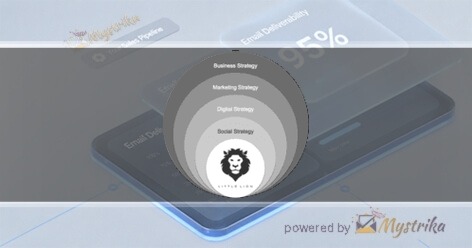 Little Lion Consulting