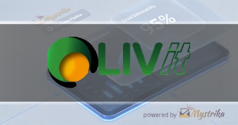 LiV-IT Agency logo