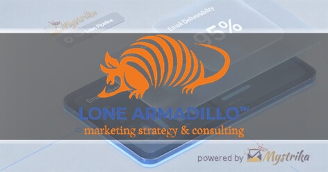Lone Armadillo