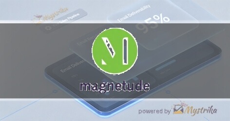 Magnetude Consulting