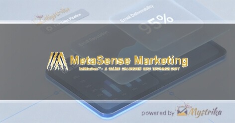 MetaSense Marketing