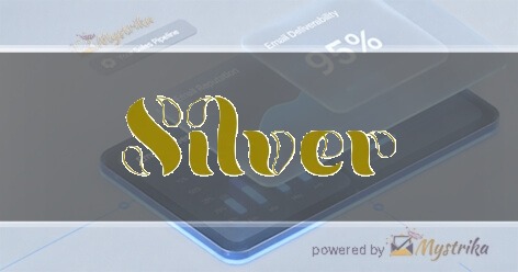 Michelle Silver Design