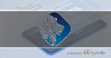 NetFusion Designs