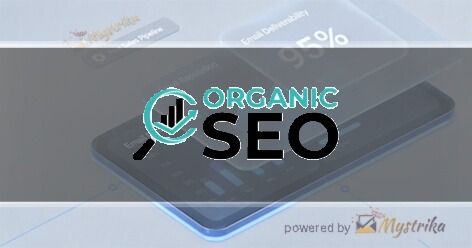 Organic SEO Company