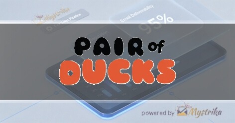 Pair of Ducks