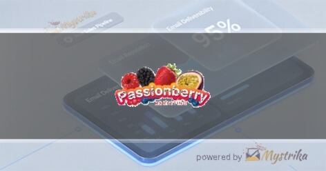 Passionberry Marketing Agency logo