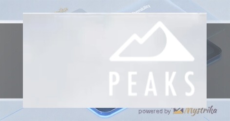 Peaks Digital Marketing