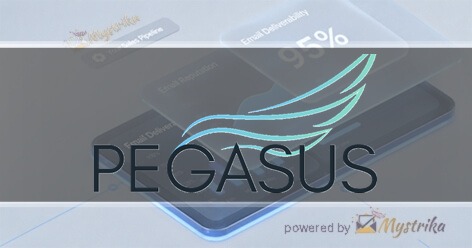 Pegasus Strategy Co.