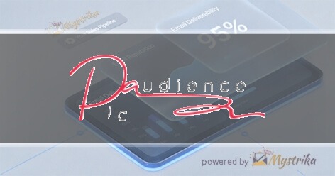 Pic Audience