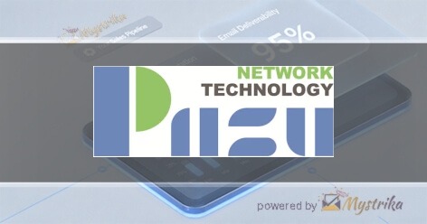 Piizu Network Technology