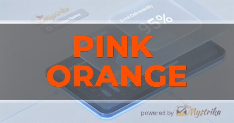 Pink Orange | Education Marketing Agency