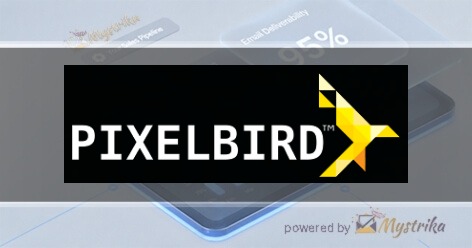 PIXELBIRD™