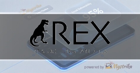 Rex Marketing and CX