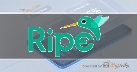 Ripe Media