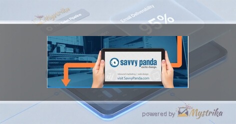Savvy Panda