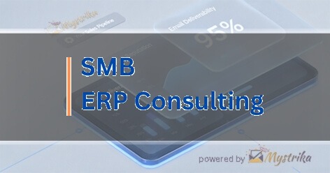 SMB ERP Consulting