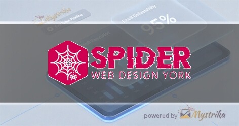 Spider Web Designs