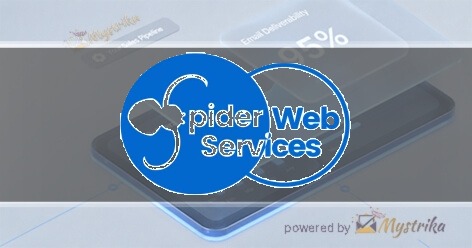 Spider Web Services Agency logo