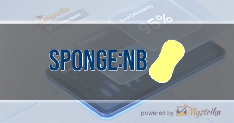 Sponge New Business