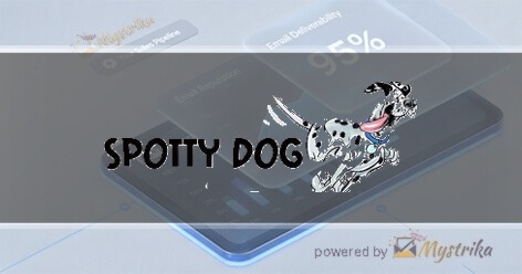 Spotty Dog Digital Marketing