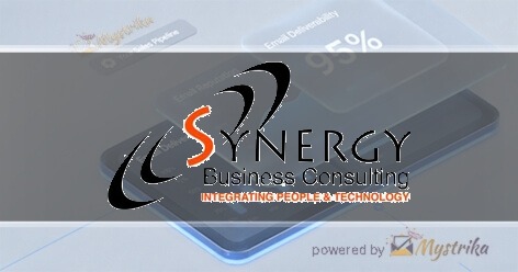 Synergy Business Consulting