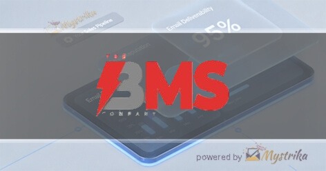 The BMS Partners LLC