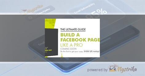 The Brand Plan