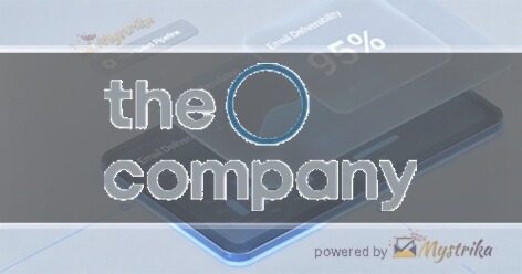 The IT Company