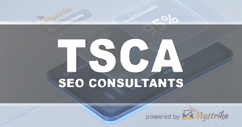 The SEO Consultant Agency