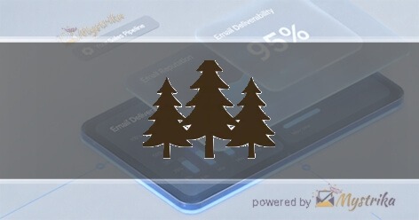 Timber Wellness SEO