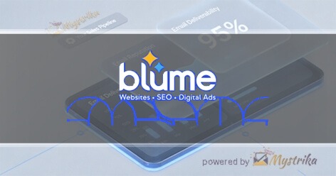 TMS Web Design + Development