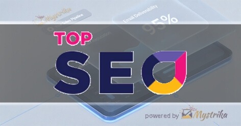 Top SEO Agency logo
