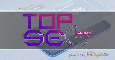Topseo.com.pk ltd Agency logo