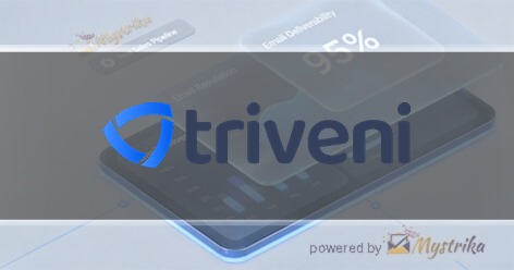 Triveni Global Software Services LLP