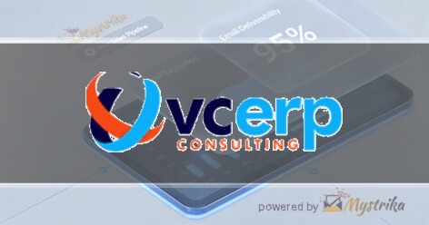 VC ERP Consulting