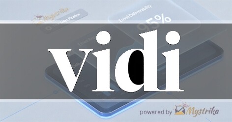 Vidi Global