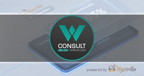 W consult Agency logo