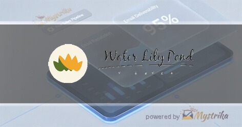 Water Lily Pond