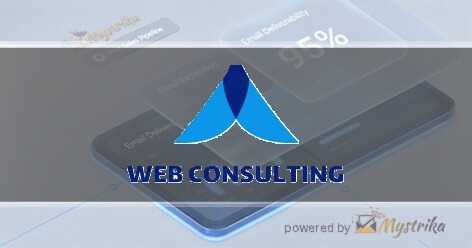 Web Consulting Agency