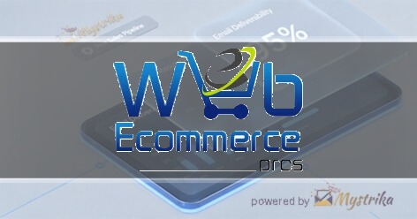 Web Ecommerce Pros
