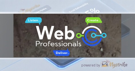 Web Professionals