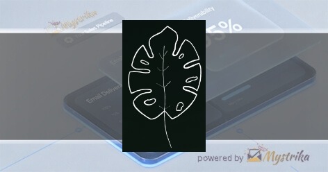 webjungle.ch