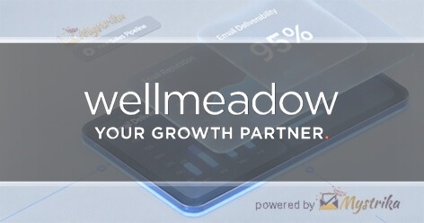 Wellmeadow - Manufacturing Professionals