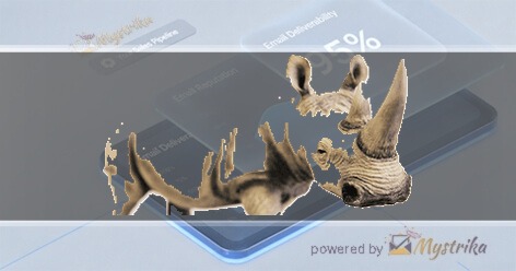 White Rhino