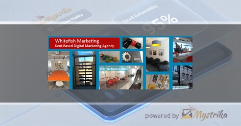 Whitefish Marketing