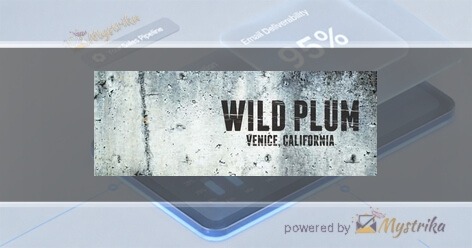 Wild Plum
